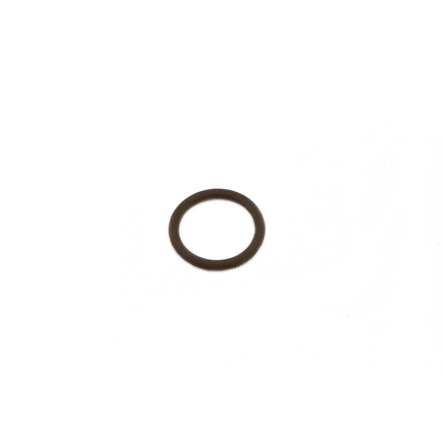 O-RING  (1325116)