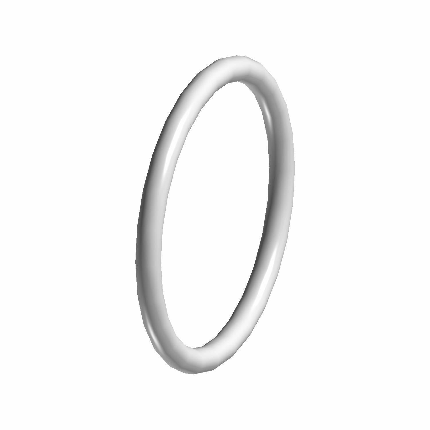 O-RING