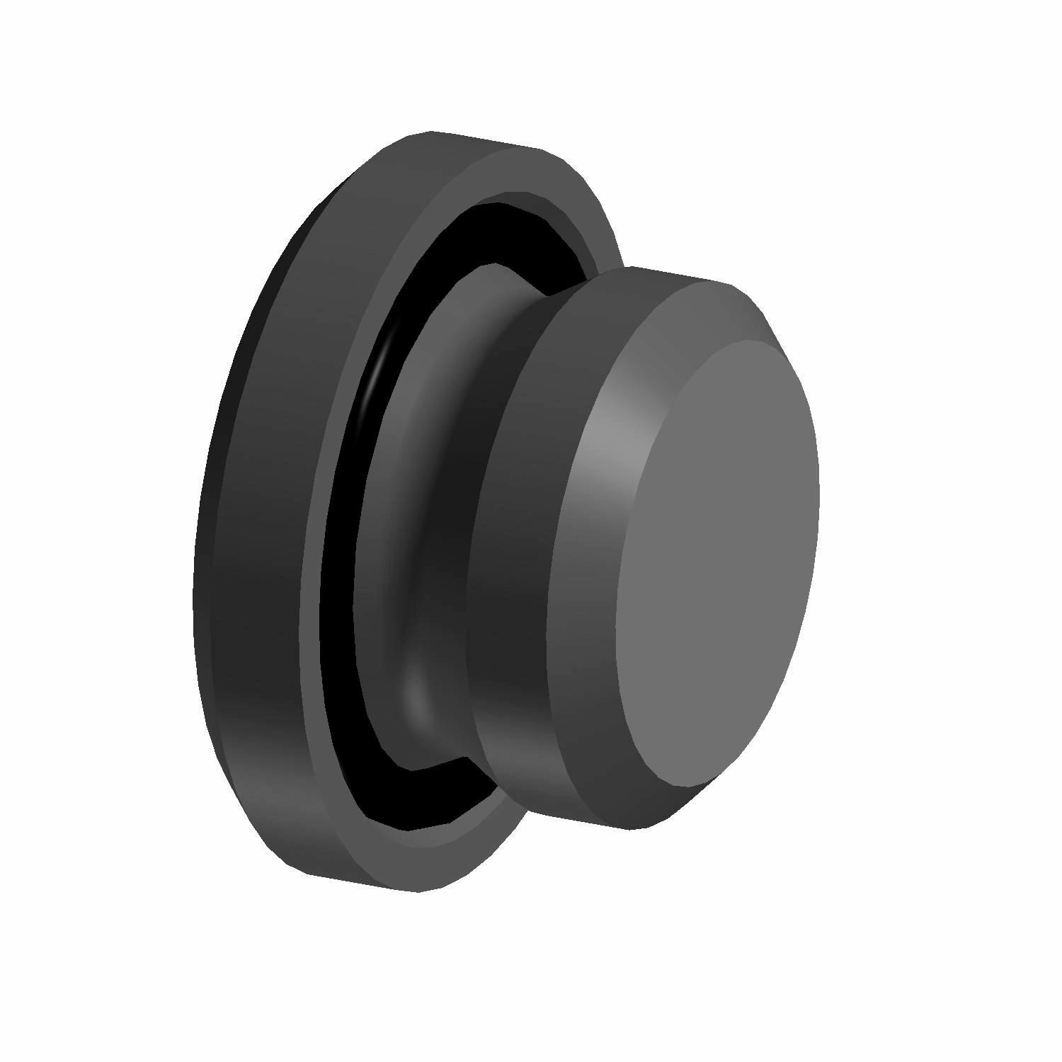 BUJON C/ O-RING M14X1.5